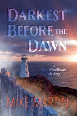 Book cover for Darkest Before the Dawn