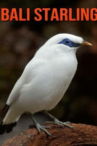 Cover of Bali Starling