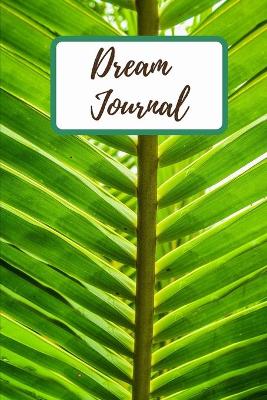 Book cover for Dream Planner for teens and adults