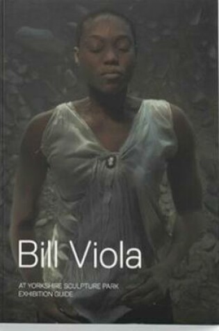 Cover of Bill Viola: At Yorkshire Sculpture Park