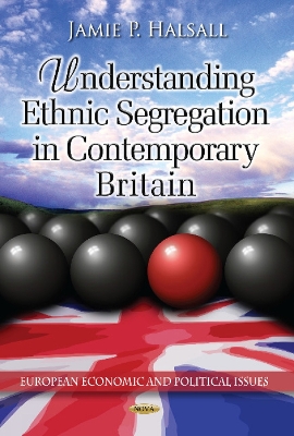 Book cover for Understanding Ethnic Segregation in Contemporary Britain