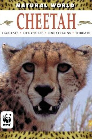 Cover of Cheetah