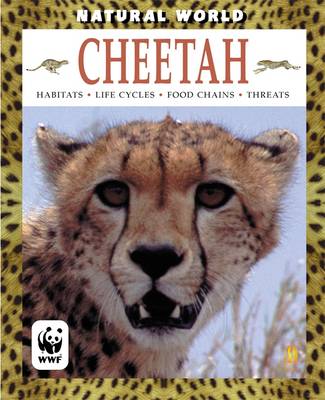 Book cover for Cheetah