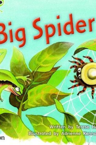 Cover of Bug Club Phonics - Phase 5 Unit 27: Big Spider