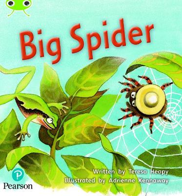 Book cover for Bug Club Phonics - Phase 5 Unit 27: Big Spider