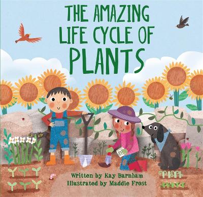 Book cover for Look and Wonder: The Amazing Plant Life Cycle Story