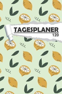 Book cover for Tagesplaner Zitrusfrucht