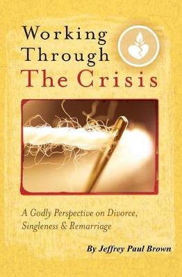 Book cover for Working Through The Crisis