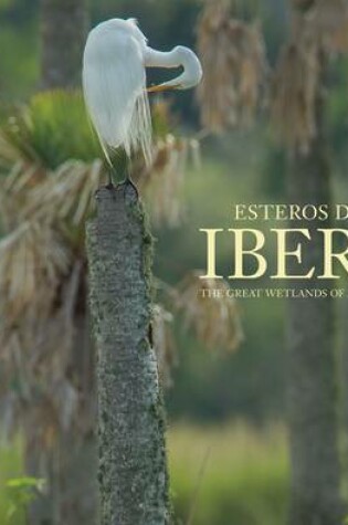 Cover of Esteros del Iber