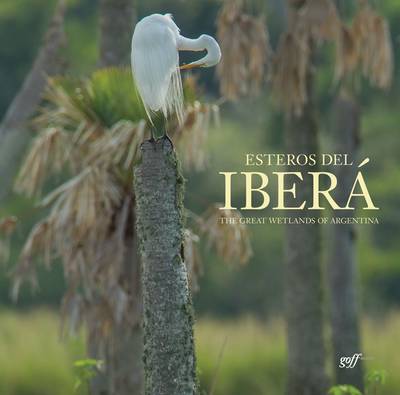 Book cover for Esteros del Iber