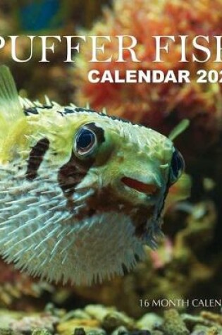 Cover of Puffer Fish Calendar 2020