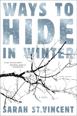 Cover of Ways To Hide In Winter