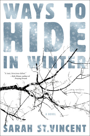 Book cover for Ways To Hide In Winter