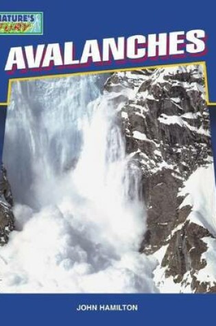 Cover of Avalanches eBook
