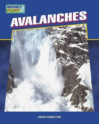 Book cover for Avalanches eBook