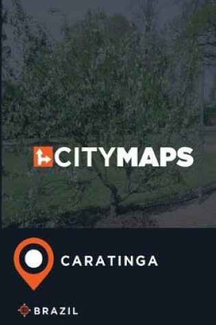 Cover of City Maps Caratinga Brazil