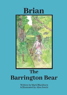 Book cover for Brian The Barrington Bear