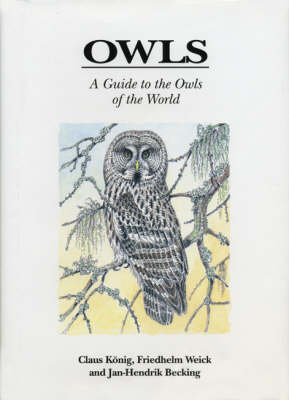 Book cover for Owls