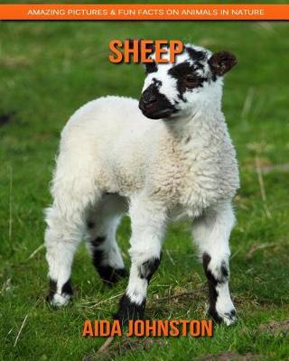 Book cover for Sheep