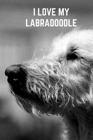 Cover of I Love My Labradoodle