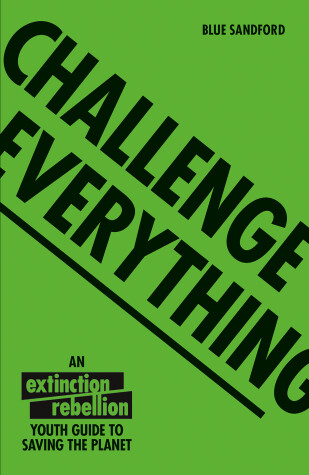 Book cover for Challenge Everything