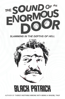 Book cover for The Sound of an Enormous Door