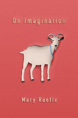 Book cover for On Imagination