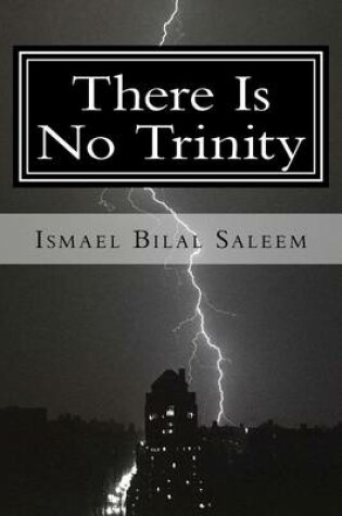 Cover of There Is No Trinity