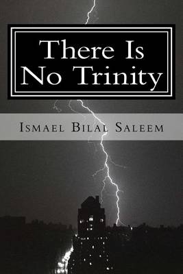 Book cover for There Is No Trinity