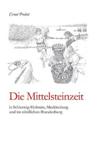 Cover of Die Mittelsteinzeit in Schleswig-Holstein, Mecklenburg und im nördlichen Brandenburg