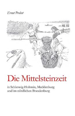 Book cover for Die Mittelsteinzeit in Schleswig-Holstein, Mecklenburg und im nördlichen Brandenburg