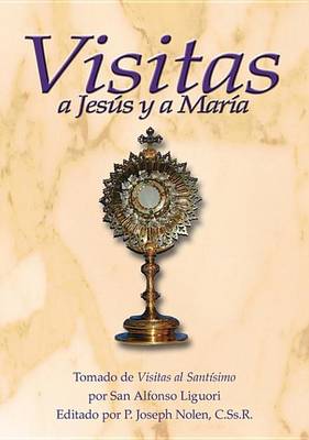 Book cover for Visitas a Jesus y a Maria