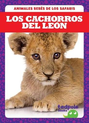 Book cover for Los Cachorros del Leon
