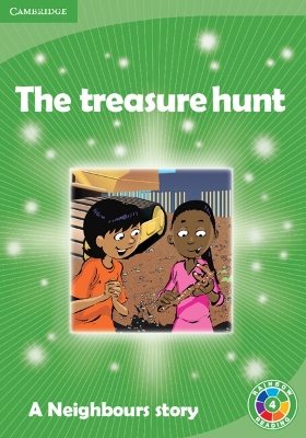 Book cover for The Treasure Hunt Level 4