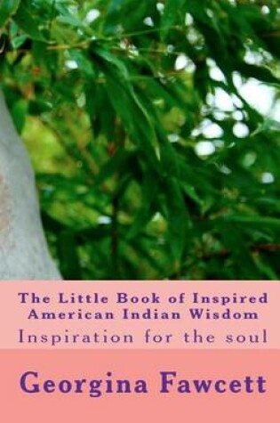 Cover of The Little Book of Inspired American Indian Wisdom