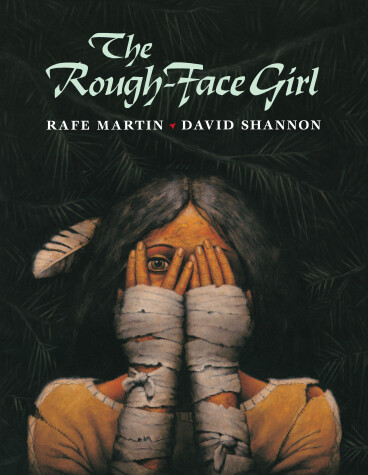 Book cover for The Rough-Face Girl