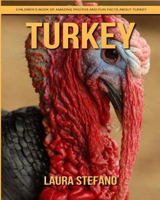 Book cover for Turkey