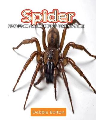 Book cover for Spider