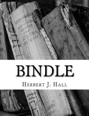 Book cover for Bindle