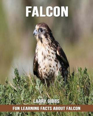 Book cover for Fun Learning Facts about Falcon