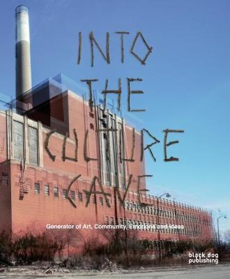 Cover of Into the Culture Cave