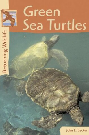 Cover of The Greensea Turtles
