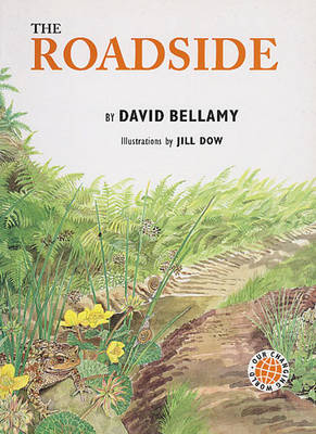 Cover of The Roadside