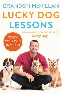 Book cover for Lucky Dog Lessons