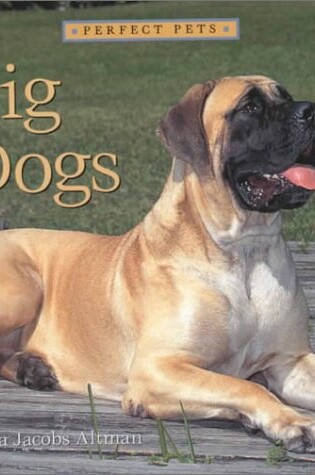 Cover of Big Dogs