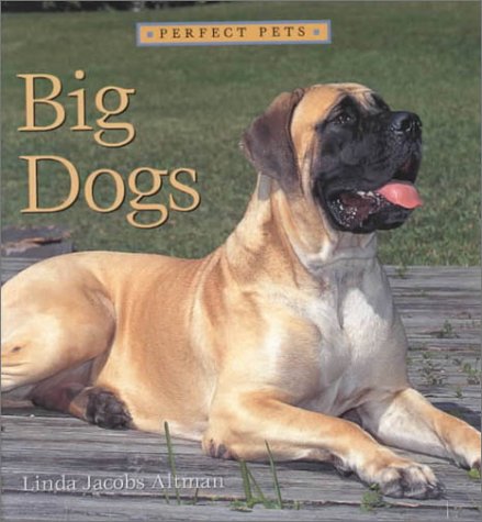 Book cover for Big Dogs