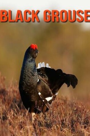 Cover of Black Grouse