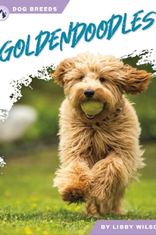 Cover of Goldendoodles