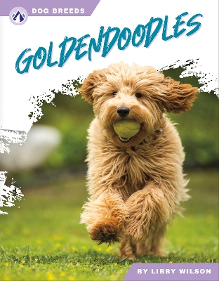 Book cover for Goldendoodles