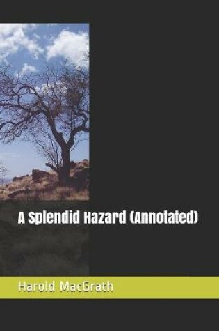 Cover of A Splendid Hazard (Annotated)